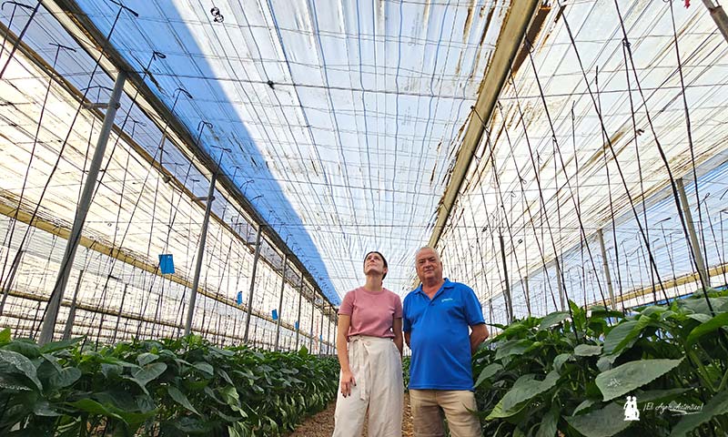 Agriplast cambia en los plásticos de cubierta las reglas del campo con Agri50 Pro 6