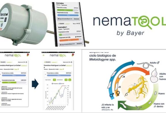 Bayer lanza Nematool 3.0: una nueva era en la gestión inteligente de nematodos