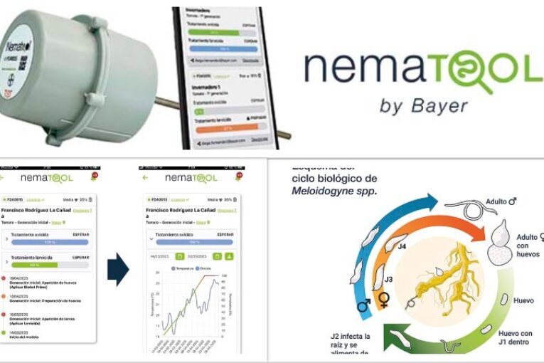 Bayer lanza Nematool 3.0: una nueva era en la gestión inteligente de nematodos
