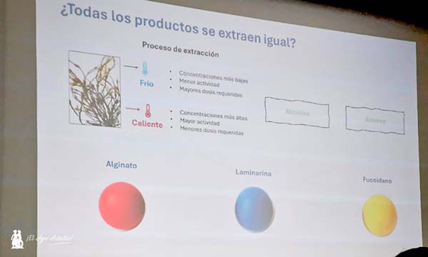 Brandon abre campaña en Almería con Biosum y los distribuidores R. Marruecos y Nutrientes Alvi 8