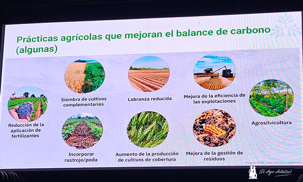 Ricardo Beck, responsable de proyectos de carbono en Azolla Projects