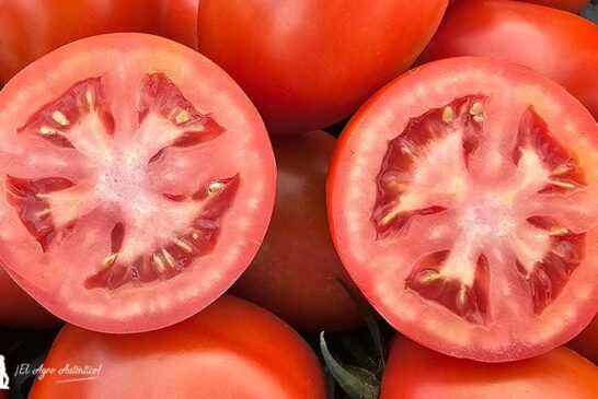 Coexphal lidera la promoción del tomate español en Fruit Attraction 2025