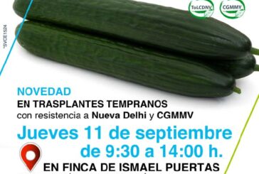 Día 11 de septiembre. Jornada de pepino de Seminis
