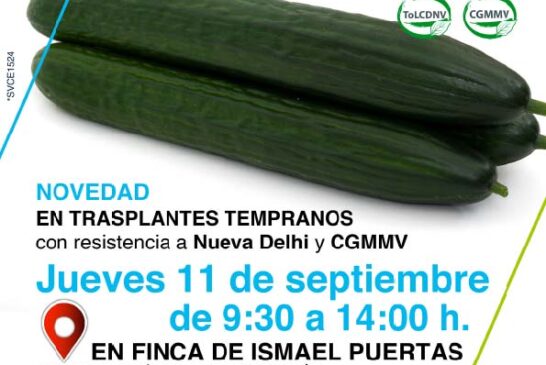 Día 11 de septiembre. Jornada de pepino de Seminis