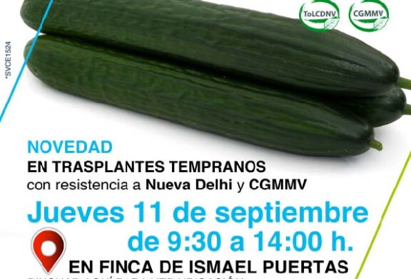 Día 11 de septiembre. Jornada de pepino de Seminis