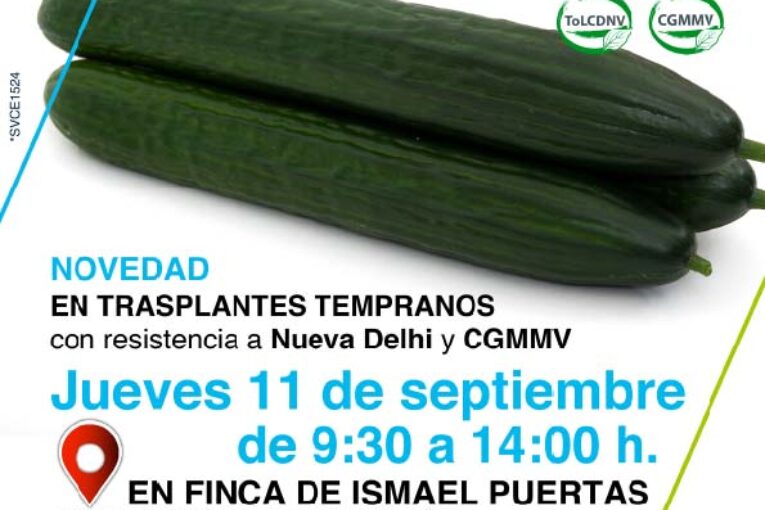 Día 11 de septiembre. Jornada de pepino de Seminis