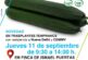 Día 11 de septiembre. Jornada de pepino de Seminis