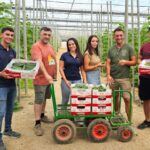 El modelo de envasado en campo crece en pepino con Naturinda 8