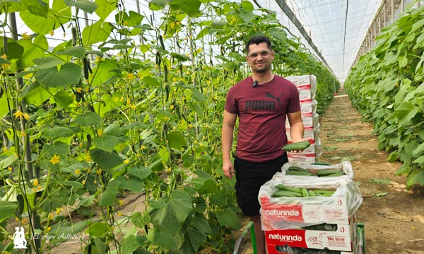 El modelo de envasado en campo crece en pepino con Naturinda 11
