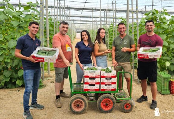 El modelo de envasado en campo crece en pepino con Naturinda