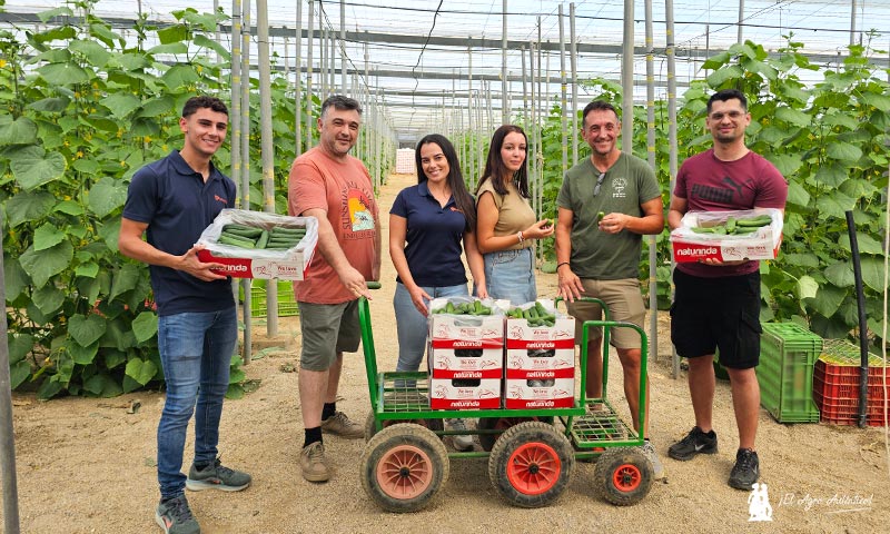 El modelo de envasado en campo crece en pepino con Naturinda