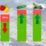 Menos pimiento y más pepino y calabacín en la nueva campaña en Almería