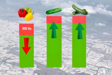 Menos pimiento y más pepino y calabacín en la nueva campaña en Almería