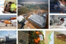 Las plagas foráneas que llegan de fuera vía importaciones