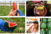 La sandía Exotica de Hazera gana el primer puesto en los Fresh Market Awards 2025
