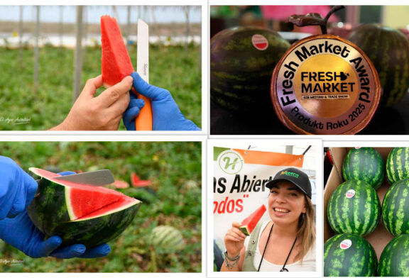 La sandía Exotica de Hazera gana el primer puesto en los Fresh Market Awards 2025