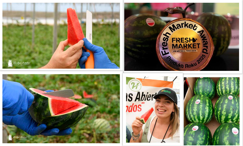 La sandía Exotica de Hazera gana el primer puesto en los Fresh Market Awards 2025