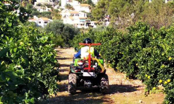 Tratamientos de cebo contra la Ceratitis capitata a través de quads / agroautentico.com