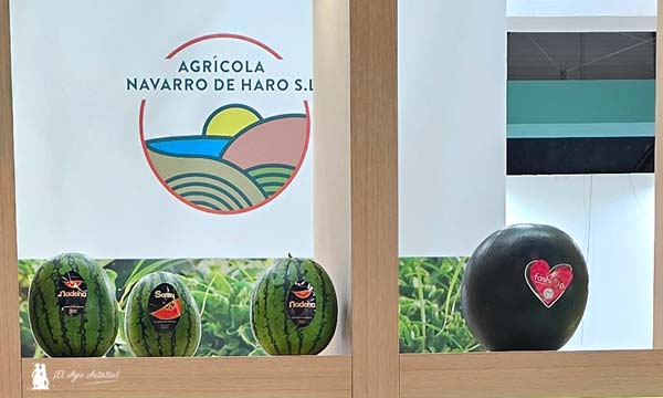 Sandías rayadas y negras de Agrícola Navarro de Haro / agroautentico.com