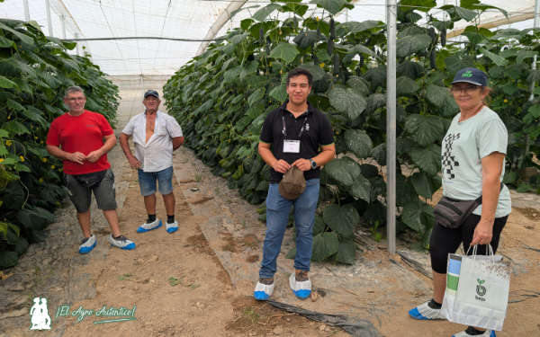Agricultores de Camposol en las jornadas de pepino de Bejo / agroautentico.com