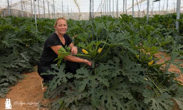 Almudena Valverde con la variedad Kai de Sakata / agroautentico.com