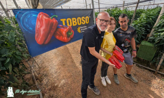 Antonio Cortés con Ainoa Doñas y Francisco Enrique en las jornadas de pimiento Toboso / agroautentico.com