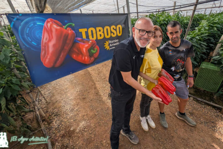 Toboso coloca a Ramiro Arnedo en la Liga de los Lamuyos resistentes a oídio