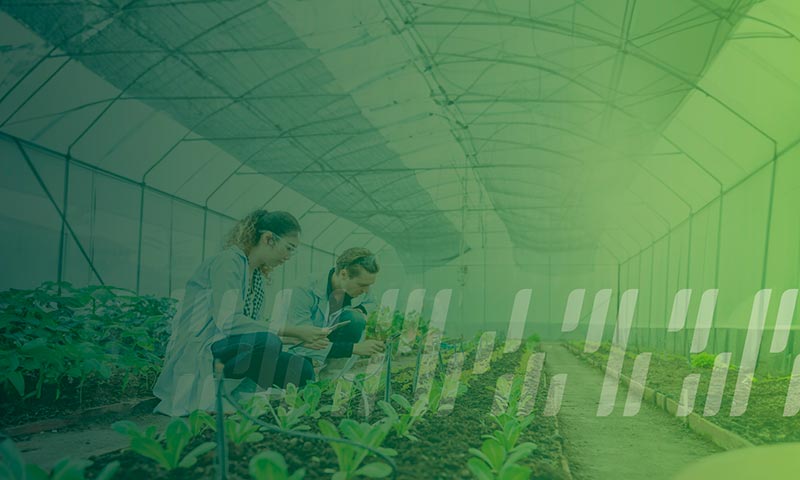 Importancia del proceso de registro como garantía de calidad y seguridad de los productos fitosanitarios.
