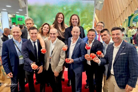  CASI y BASF | Nunhems ponen color al mercado con su nuevo asurcado rosa con resistencia a rugoso