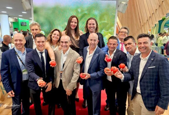  CASI y BASF | Nunhems ponen color al mercado con su nuevo asurcado rosa con resistencia a rugoso