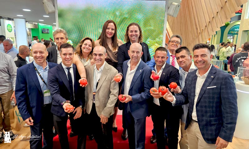  CASI y BASF | Nunhems ponen color al mercado con su nuevo asurcado rosa con resistencia a rugoso