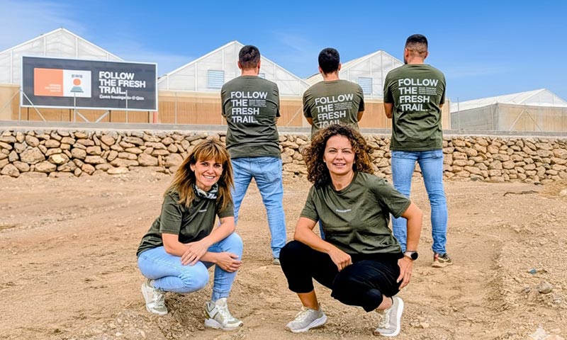 KWS Vegetables Hortícolas: Sembrando Futuro con Estilo Freshplorer -agroautentico.com