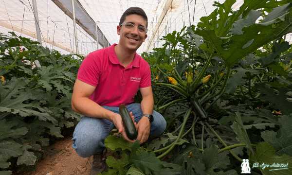 Cecilio Fernández con el nuevo calabacín Kairoh / agroautentico.com