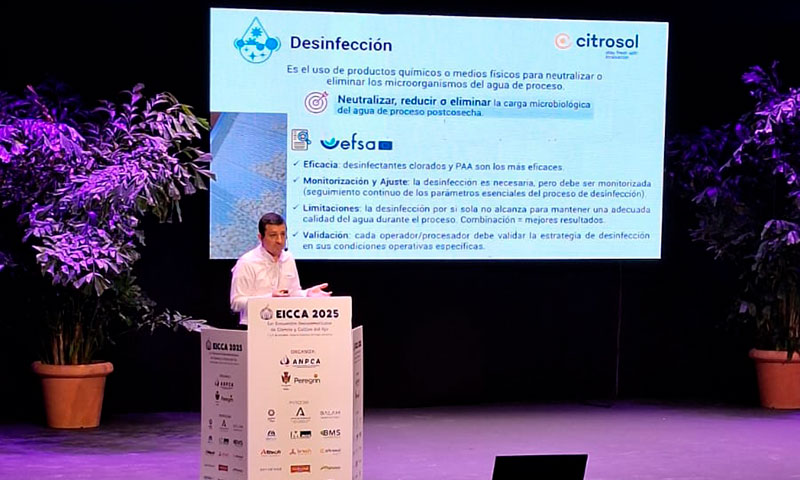 Citrosol presenta Citrocide® Fresh-Cut para alargar la vida comercial del ajo procesado en el EICCA