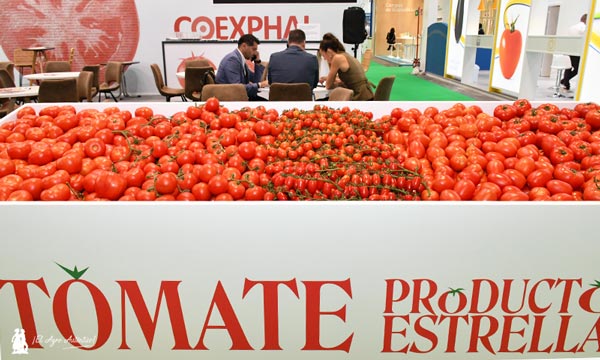 Tomate Producto Estrella en Fruit Attraction 2025/ agroautentico.com