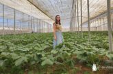 Naturinda lidera el cultivo de ocra en Almería