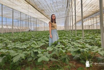 Naturinda lidera el cultivo de ocra en Almería