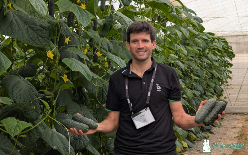 Javier Perales, delegado técnico comercial de Bejo en Almería / agroautentico.com