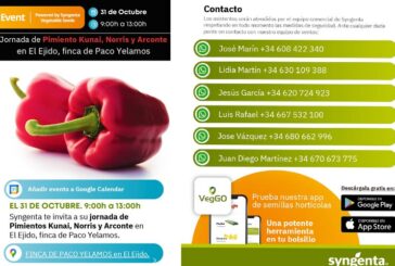 Día 31 de octubre. Jornada de pimiento de Syngenta