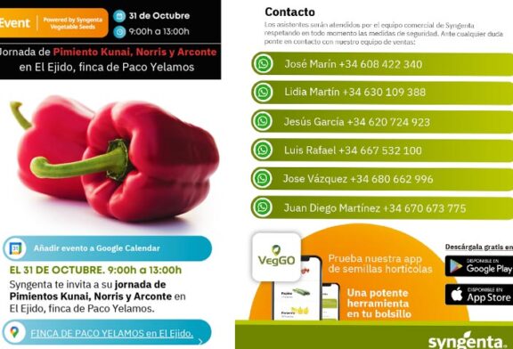 Día 31 de octubre. Jornada de pimiento de Syngenta