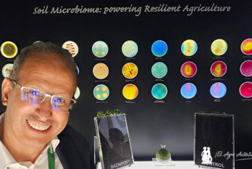 Entrevista Khalid Akdi: