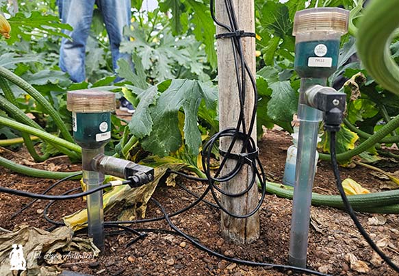 Tensiómetros del equipo de Hiotera: a 15 y 30 cm / agroautentico.com
