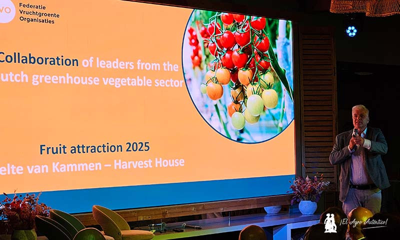 Jelte van Kammen, CEO del grupo holandés Harvest Group / agroautentico.com