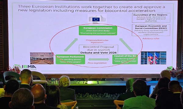 Lentitud de Bruselas. Jennifer Lewis describe la hoja de ruta para simplificar el deseado registro de herramientas de biocontrol / agroautentico.com
