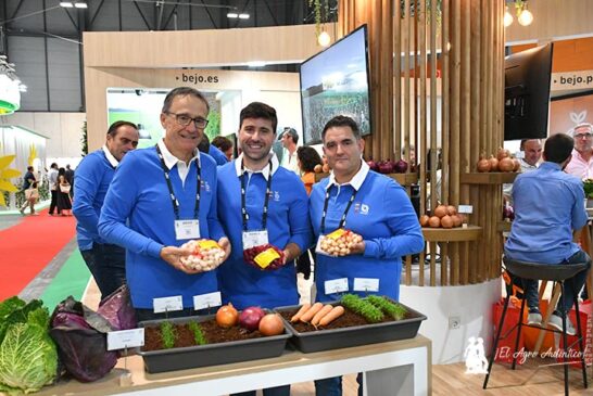 Las ensaladas de Bejo en Fruit Attraction llevan cebolla, lechuga, pepino, zanahoria, col y apio