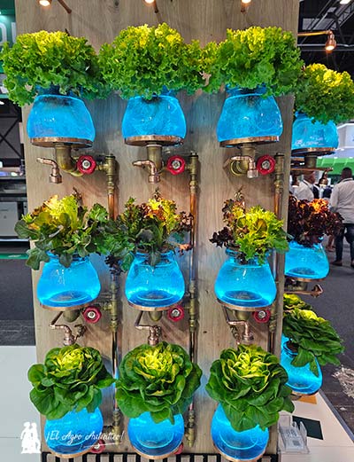 Rijk Zwaan con equilibrio de Sabores en Fruit Attraction 2025 3