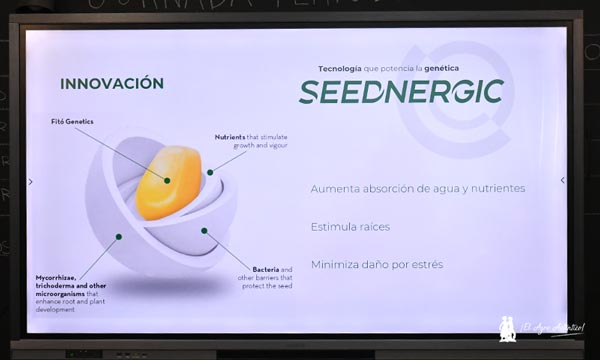 Lobezno da un salto de sabor, textura y color en el pimiento de industria 13