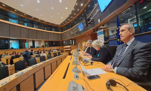 Luis Miguel Fernández, gerente de Coexphal, en el Parlamento Europeo de Bruselas en diciembre de 2022 / agroautentico.com