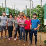 Familia Salas y amigos. Anfitriones de la doble jornada de pepino de Hazera / agroautentico.com