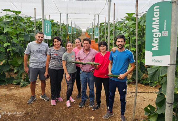 Tras ZiMMan llega ahora el nuevo pepino MagMMan resistente a CGMMV